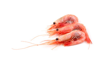 Shrimps