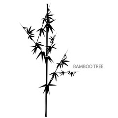 Seamless pattern in black and white of the bamboo, Vector illustration of bamboo, design of Chinese and Japanese trees,  Monochrome trees wallpaper for cards and web.