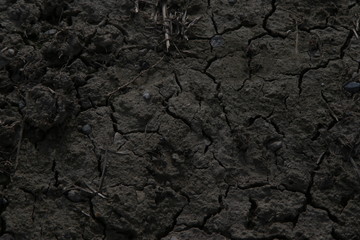 Terreno agricolo bruciato dal fuoco di un incendio