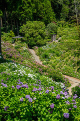 千葉県のあじさい屋敷