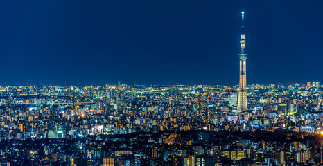 Obraz premium Night view of Tokyo Japan ~ 池袋から見た東京の夜景 ~
