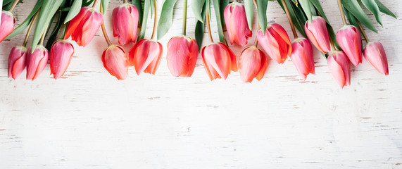 Pink tulips bouquet border on white wooden background from above. Top view of red flower bud frame. Spring seasonal holiday and easter greeting card design layout. © hitdelight