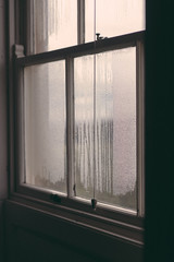 Steamy Window