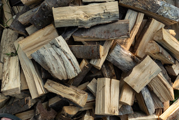 Firewood pile