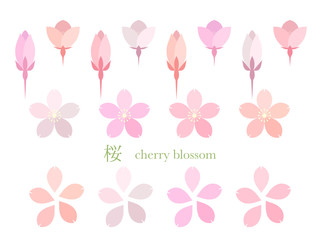 桜の花のシンプルイラスト