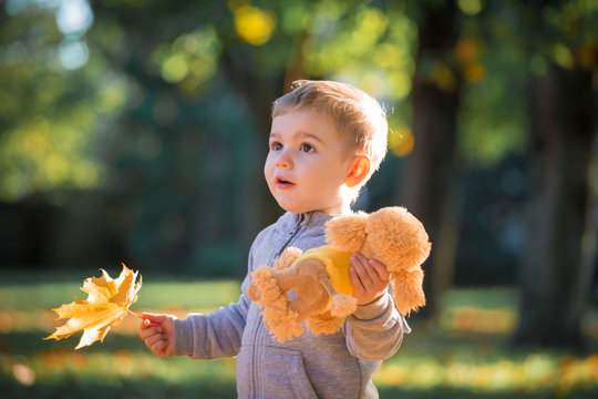 Boy face, autumn, gray jumper, toy dog
