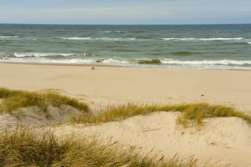 Sand dunes. Sand dunes on the sea beach.