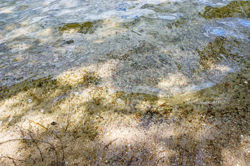 Transparent water in a forest pond. The sand under the water.