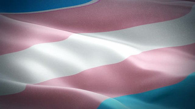 Transgender Flag Rainbow waving. 3d Trans Pride Symbol flag waving Isolated. Sign of Rainbow seamless loop animation. girl boy lesbian Transgender flag HD resolution Background. trans Rainbow Pride Fl