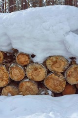 Piles of snowy firewood on a cold winter day