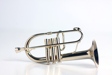 fluegelhorn isolated on white background