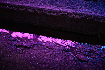 Purple neon reflection in a water puddle. Hong Kong street at night. 