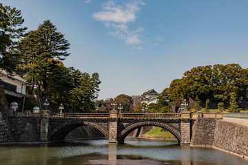 bridge in the park
