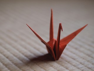 畳に赤い折り鶴