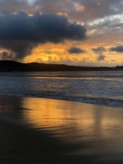 california coast sunset with dog