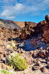 beautiful landscape with the Teide volcano on the island of Tenerife