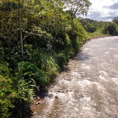 Fototapeta na wymiar Im Tirimbina Reservat bei Puerto Viejo gelangt man über eine der längsten Hängebrücken Costa Ricas direkt in den tropischen Regenwald mit seiner exotischen Flora und Fauna