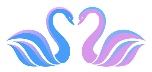 Couple swans on a white background © lenka