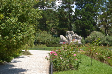 garden