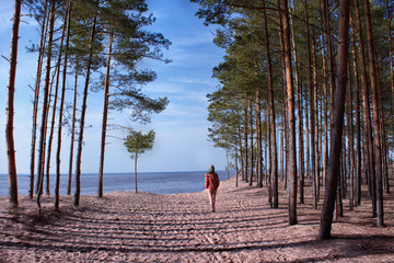 Woman walking trough beautiful Pine tree forest to the sea side