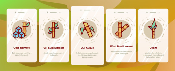 Obraz premium Sugar Cane Agriculture Onboarding Icons Set Vector. Rum Bottle, Water Glass, Bio Organic Sugar Sweet Nutrition Illustrations