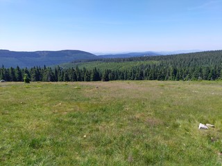 polana w g&oacute;rach