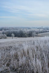 White winter landscape with hoarfrost on trees