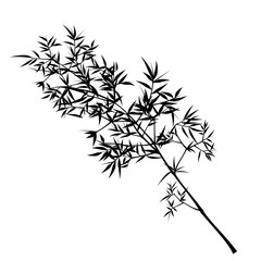 Obraz premium Seamless pattern in black and white of the bamboo, Vector illustration of bamboo, design of Chinese and Japanese trees, Monochrome trees wallpaper for cards and web.