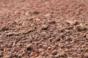 Fertile dry soil on a farm in the field. Close-up. Background. Texture.