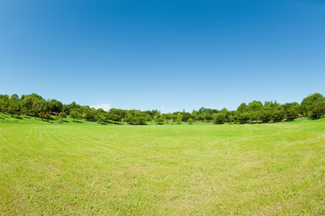 青空と芝生の公園