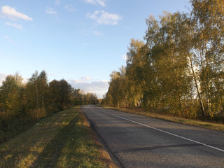 Road in autumn
