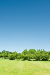 青空と芝生の公園