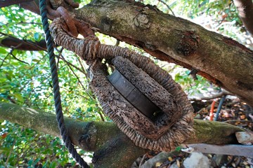 hanging old wooden hoist to pull thin