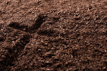 Cross marked on the ground elevated view