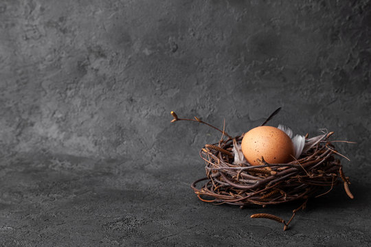 Easter egg in nest on black background