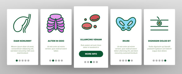 Organs Anatomical Onboarding Icons Set Vector. Stomach And Uterus, Spleen And Lungs, Heart And Kidneys, Human Organs Illustrations