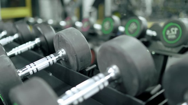 Shiny metal dumbbells on stand in gym.
