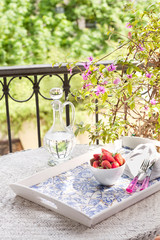 Balkon Garten Erdbeeren