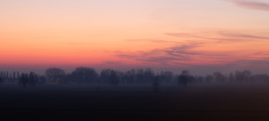 Beautiful  orange sky and trees with light fog