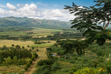 Landscape of Vi&ntilde;ales Valley, known for tobacco plantations , Cuba, mogotes mountains, part of Sierra de los &Oacute;rganos, UNESCO heritage.