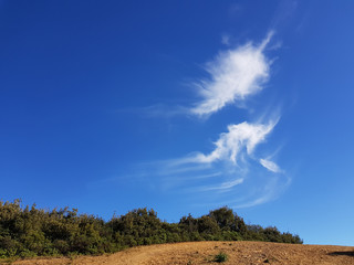 Obraz premium Campagna di Sardegna