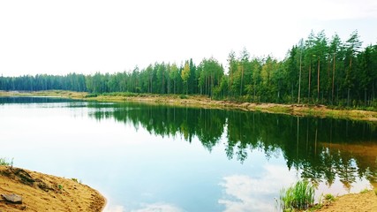 lake in forest