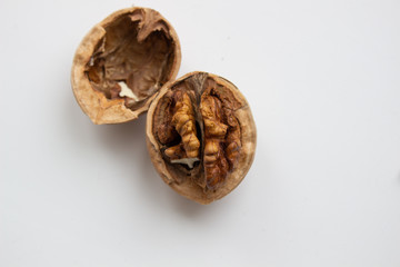 Walnut close - up isolated on a white background.