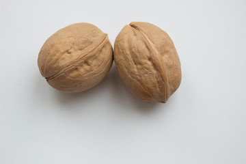 Walnut close - up isolated on a white background.
