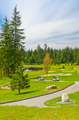 Fototapeta na wymiar Golf place with gorgeous green and pond.