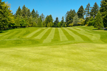 Golf course with gorgeous green over blue sky