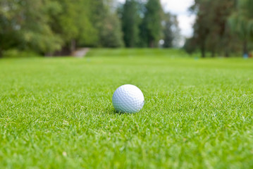 Golf ball on green over a blurred green. Shallow depth of field. Focus on the ball.