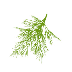 Hand drawn dill isolated on a white background.