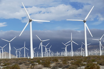 wind turbines in the desert