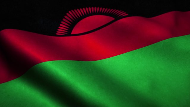 Malawi flag waving in the wind. National flag of Malawi. Sign of Malawi. 3d rendering